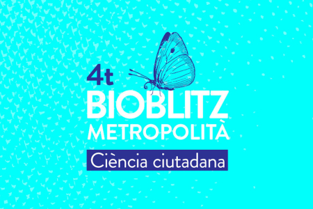 4a edició Bioblitz metropolità