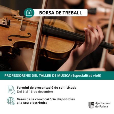 Borsa de treball professors/es violí