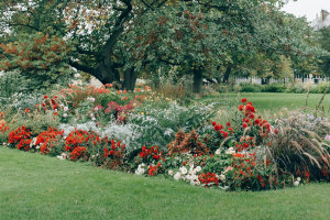 Jardineria sostenible